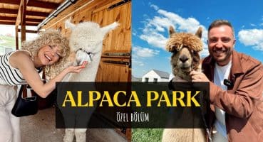 Sevimli Alpakalarla Dolu Bir Gün: Alpaka Çiftliği Ziyaretimiz Gezilecek Yerler