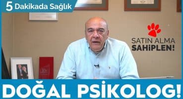 HAYVANLARIN SAĞLIĞA FAYDALARI! – (DOĞAL PSİKOLOGLAR!) / 5 Dakikada Sağlık