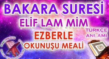 Bakara suresi ilk 5 ayeti ezberle Elif Lam Mim suresi ezberleme Herkes için Etkili okuyuş Dua Ve Sureler