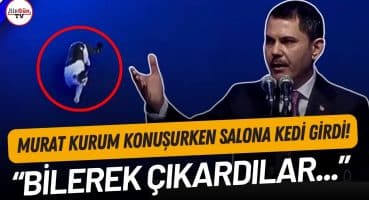 Murat Kurum konuşurken sahneye kedi çıktı! Tepkisi dikkat çekti: “Bilerek çıkardılar…” Fragman İzle