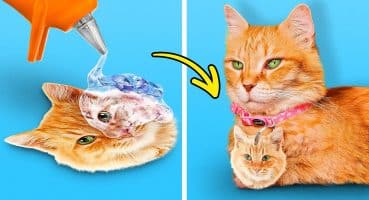 Kullanışlı Aletlerden Harika Kedi Evi Nasıl Yapılır 🐈 En İyi Evcil Hayvan Tüyoları!