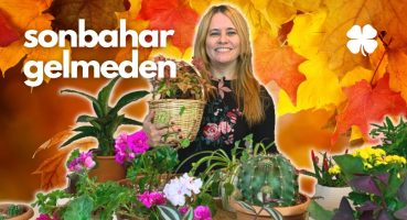 Sonbahar Bitki Bakımı 🍁Kışa Bitkileri Hazırlamak 🌱 | Bitkilerin Dili (Bakım Önerileri) Bakım