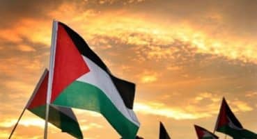 Bayrakların Tarihi: Filistin