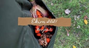 Ekim 2021 💦 | Manolya Tohumları ve Bitki Bakımı Rutini | ASMR Vlog Bakım