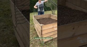 Yükseltilmiş yataklara domates ve biber diktim 🍅🫑 #bahçe #gardening #raisedbeds #bitkibakımı Bakım