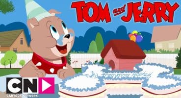 Tom & Jerry Show I Doğum Günü I Cartoon Network Türkiye