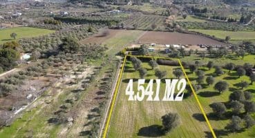 Urla Kuşçular’da Satılık ÇiftlikFarm for Sale in Urla / Kuşçula Satılık Arsa