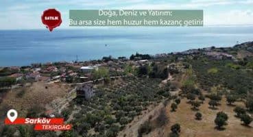 Tekirdağ Şarköy Aşağıkalamış’ta satılık arsa 986 m2 imarlı tek tapu Satılık Arsa