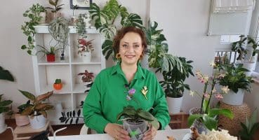 Sonbaharda Bitki Bakımı Nasıl Yapılır | Orkide | Kaktüs | Süs Bitkileri Bakım