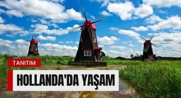Hollanda’da Yaşamanın Avantaj ve Dezavantajları | Yaşam Standartları, Kültürü, Doğal Güzellikleri!