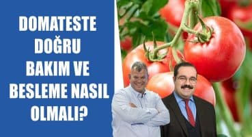 #CANLI Tarımımızda Domatesin Yeri Nerede? –  Mustafa Kutlu – Abdullah Berk Akkaş | Bitki Filozofu Bakım