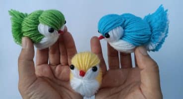 Yün İpten Kuş Nasıl Yapılır 🐦 Easy Chicken Making-Woolen Craft