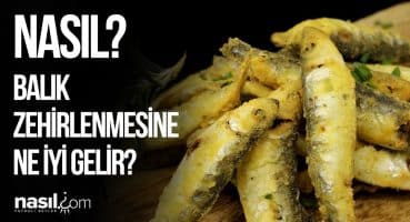 BALIK ZEHİRLENMESİ NEDEN OLUR? BALIK ZEHİRLENMESİNE NE İYİ GELİR? #sağlık #balık #gıda #zehirlenme