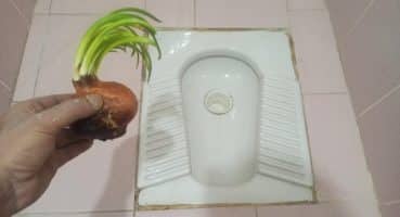 Sihirli Bir Şekilde Tuvaletteki Sarı Lekeleri Çıkarma Yöntemi | Tuvalet Taşı Nasıl Beyazlatılır?