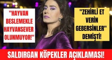 Yıldız Tilbe tepki çeken ‘saldırgan köpekler’ önerisi hakkında açıklama yaptı! Magazin Haberi