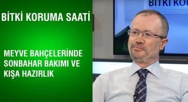 Bitki Koruma Saati – Meyve Bahçelerinde Sonbahar Bakımı ve Kışa Hazırlık Bakım