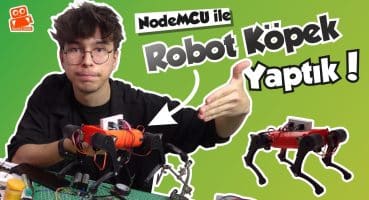 Robot Köpeğiniz Olsun İster misiniz? NodeMCU ile Robot Köpek Nasıl Yapılır? #robotdog #3dprinting