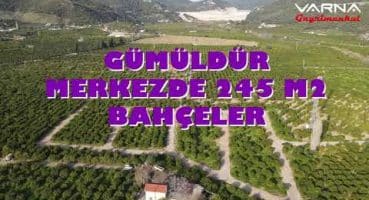 GÜMÜLDÜR SAHİL VE MERKEZE YAKIN SATILIK 245 M2 YAZLIK GİBİ BAHÇELER Satılık Arsa