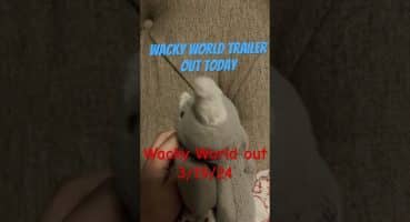 See my trailer wacky world part one now! Fragman izle