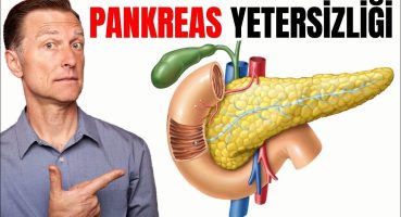 Pankreas Yetersizliği – Pankreasın Fonksiyonları ve Pankreatit | Dr.Berg Türkçe