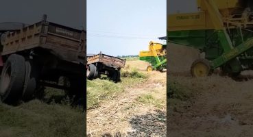 Rice Harvester, Tractor and Tipper Trailer at work during harvest in GK Farms India. #shorts #farm Fragman izle