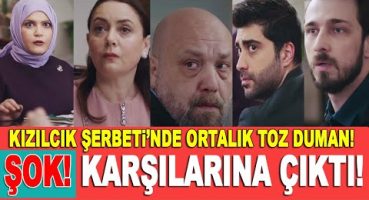 Kızılcık Şerbeti yeni bölümde ortalık toz duman olacak! Ünallar Konağı karışıyor… Fragman izle