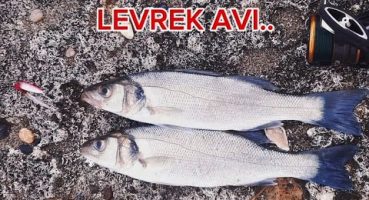 KARİDESİ SÜZDÜR LEVREĞİ KAP ..Karides aksiyonu ve teknikleri | Levrek avı nasıl yapılır