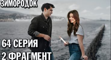 СЕРИАЛ ЗИМОРОДОК 64 СЕРИЯ  РУССКАЯ ОЗВУЧКА Yalı çapkını 64 Fragman izle