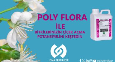 POLY FLORA ile Bitkilerinizin Çiçek Açma Potansiyelini Keşfedin Bakım
