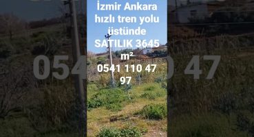 Alaşehir Kemaliye’de 3645m satılık arsa. zeytinyağı fabrikası ruhsatlı  0541 110 47 97 Satılık Arsa