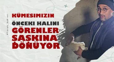 Kümesimizin Önceki Halini Görenler Şaşkına Dönüyor! | Muhteşem Değişim Bakım