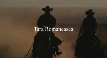 Metin2.Ro Țara Românească – Trailer Fragman izle