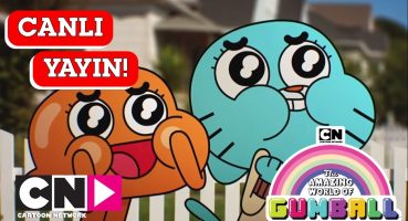 🔴 CANLI 🔴 | GUMBALL | 1. Sezon | Cartoon Network Türkiye