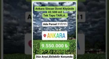 ÜCRET KÖYÜNDE TEK TAPU TARLA. Satılık Arsa