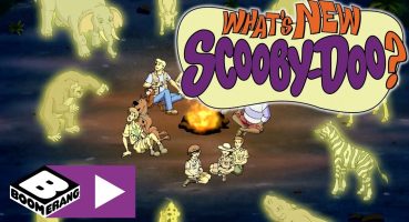 Scooby Doo Maceraları | Kamp Zamanı | Boomerang