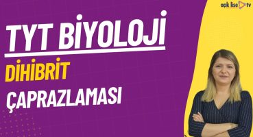 46) TYT Biyoloji – Dihibrit Çaprazlama Bakım