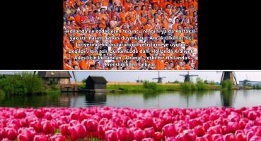 Hollanda’ya seyahat
