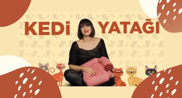 Pratik Kedi Yatağı Nasıl Yapılır? – DIY – Bed for Cat From Used Materials