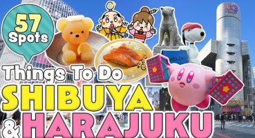 Things to do in Shibuya & Harajuku, Tokyo 2024 / Japan Travel Itinerary