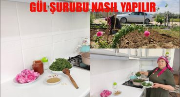 TAZE MADIMAK VE GÜL ŞURUBU NASIL YAPILIR HATİCE HANIMLA DİDİŞEREK