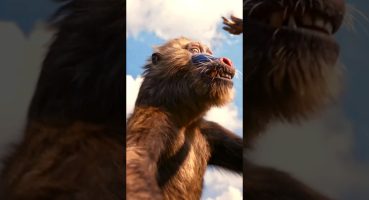 SIMBA_ MUFASA_ The Lion King 👑🦁#shorts #trailer Fragman izle