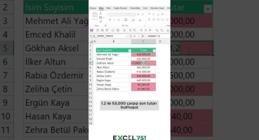 Excel’de Sadece Formül içeren Verileri Toplama Nasıl Yapılır? #excel751 #excel