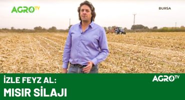 Çiftçilere Mısır Silajı ve Sonrası Hakkında Faydalı Bilgiler / AGRO TV