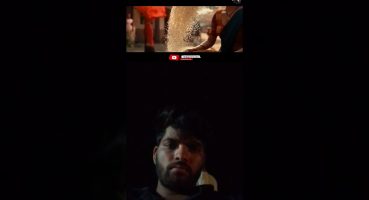 Pushpa 2 The Rule | Official Trailer| Allu Arjun | Rashmika Mandanna | Fahadh Faasil | DSP | Concept Fragman izle