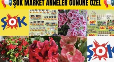 📢ŞOK MARKET ANNELER GÜNÜ📢Çiçek Açınca Ölen Bitki❓ Sardunya Coşkusu Bakım