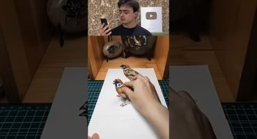 3D Çizim Nasıl Yapılır? #3 #3d
