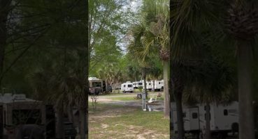 Our Casita Trailer is right at home in Florida. #camping #trailer #camperlife Fragman izle