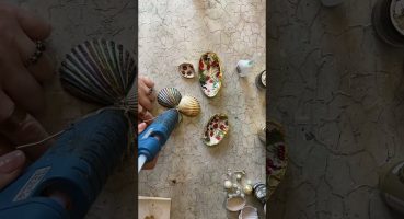 Deniz kabuğundan lokumluk nasıl yapılır/How to make a snack dish from a seashell #recycle#upcycling