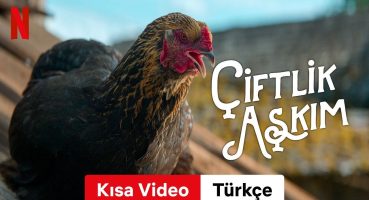 Çiftlik Aşkım (Kısa Video) | Türkçe fragman | Netflix Fragman izle