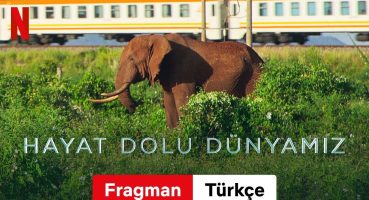 Hayat Dolu Dünyamız (Sezon 1) | Türkçe fragman | Netflix Fragman izle